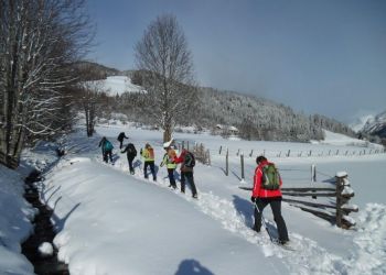 Frische Spuren im Schnee.jpg